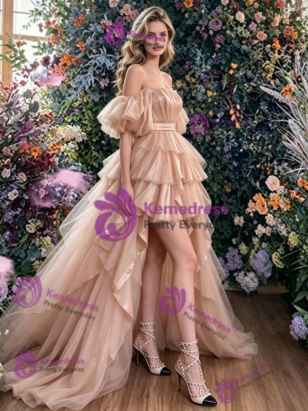 Champagne Hi Lo Tulle Pleats Prom Dress