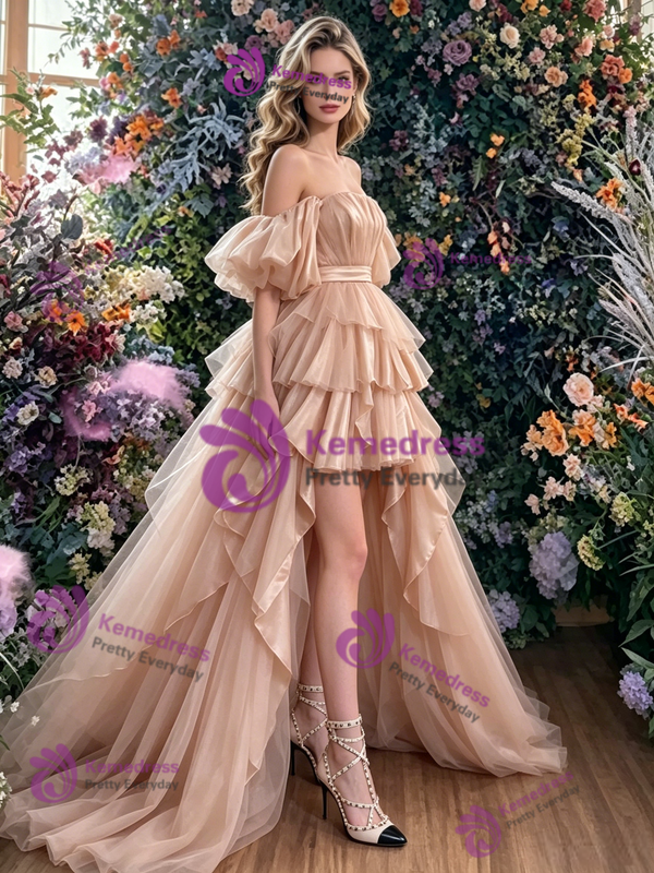 Champagne Hi Lo Tulle Pleats Prom Dress