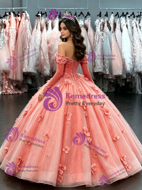 Ball Gown Long Sleeve Appliques Quinceanera Dress