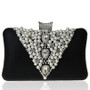Black Color Optional Square Women's Dinner Bag