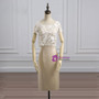 Fancy Sheath Mother of the Bride Dresses with Jacket Knee-length