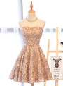 Short Homecoming Dress Tulle Homecoming Dress  Knee-Length Homecoming Dress