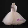 Elegant A-line Champagne Flower Girl Dresses With Beading