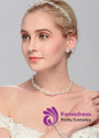 Ornaments With Rhinestones & Pearls Elegant Alloy Hair