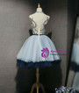 A-Line Blue Tulle Appliques Backless Homecoming Dress