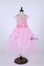 Girl Princess Dress Tulle Tutu Dress Baby Girl Newborn Infant Wedding Party Ball Gown