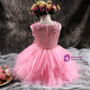 Girls Pink Dress Tutu Princess Dress Sweet Autumn flower