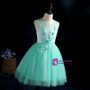 A-Line Green Sleeveless Tulle Appliques Flower Girl Dress