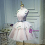 Pink Ball Gown Straps Tulle Appliques Homecoming Dress