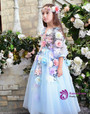In Stock:Ship in 48 hours Ball Gown Half Sleeve Blue Girl Dress