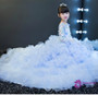 Ball Gown Long Sleeve Tulle Appliques Flower Girl Dress