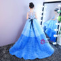 Blue Hi Lo Tulle Ruffles Appliques Flower Girl Dress