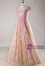 Plus Size Pink Lace Appliques Backless Prom Dress