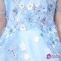 In Stock:Ship in 48 hours Ball Gown Blue Tulle Appliques Flower Girl Dress