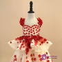 Ball Gown Champagne Tulle Red Appliques Flower Girl Dress