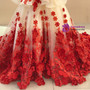 Ball Gown Champagne Tulle Red Appliques Flower Girl Dress
