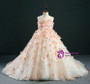 Ball Gown Yellow Tulle Appliques Flower Girl Dress