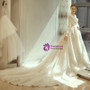 In Stock:Ship in 48 hours Long Sleeve Backless Appliques Wedding Dress