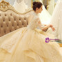 In Stock:Ship in 48 hours Champagne Short Sleeve Open Back Wedding Dress