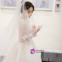 Ball Gown White Long Sleeve Lace Tulle V-neck Wedding Dress