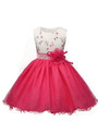 In Stock:Ship in 48 hours Pink Tulle Appliques With Flower Girl Dress