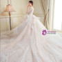 Ball Gown Ivory Tulle Long Sleeve Backless Wedding Dress