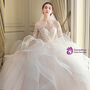 Ball Gown Ivory Tulle Long Sleeve Backless Wedding Dress