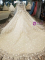 White Ball Gown Long Sleeve Backless Tulle Appliques Wedding Dress
