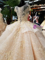 Luxury Champagne Ball Gown Tulle Appliques Wedding Dress