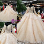 Luxury Champagne Ball Gown Long Sleeve Tulle Appliques Wedding Dress