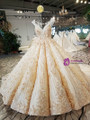 Luxury Ball Gown Champagne Backless Appliques Beading Haute Couture Wedding Dresses