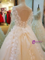 Ball Gown Tulle Appliques Beading Backless Haute Douture Wedding Dresses