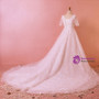 Plus Size White Short Sleeve V-neck Train Tulle Lace Wedding Dress