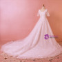 Plus Size White Short Sleeve V-neck Train Tulle Lace Wedding Dress