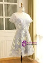 Plus Size Gray Hi Lo Short Sleeve Embroidery Prom Dress