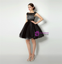 Sexy Black Tulle Bateau Sleeveless Homecoming Dress