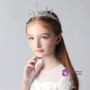 Children's Crown Tiara Princess Girl Rhinestones Children Frozen