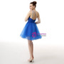 Blue One Shoulder Tulle Beading Pleats Homecoming Dress