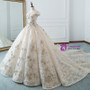 Luxury Champagne Ball Gown Appliques Long Train Wedding Dress