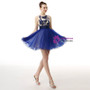 Blue Tulle Sleeveless Embroidery Beading Homecoming Dress
