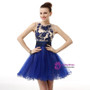 Blue Tulle Sleeveless Embroidery Beading Homecoming Dress