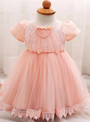 In Stock:Ship in 48 Hours Pink Short Sleeve Tulle Litter Girl Dress