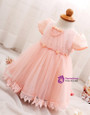 In Stock:Ship in 48 Hours Pink Short Sleeve Tulle Litter Girl Dress