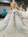 Blue Ball Gown Tulle Long Sleeve Appliques Flower Wedding Dress