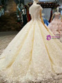 Ivory Ball Gown Off The Shoulder Backless Appliques Wedding Dress