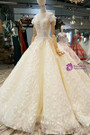 Ball Gown Long Sleeve Off The Shoulder Backless Appliques Wedding Dress