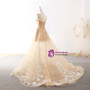 A-Line Champagne Tulle Backless Appliques Wedding Dress