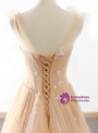 A-Line Champagne Tulle Backless Appliques Wedding Dress