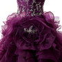 Purple Ball Gown Sweetheart Organza Sequins Quinceanera Dresses