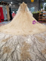 Champagne Ball Gown Long Sleeve Sequins Appliques Wedding Dress